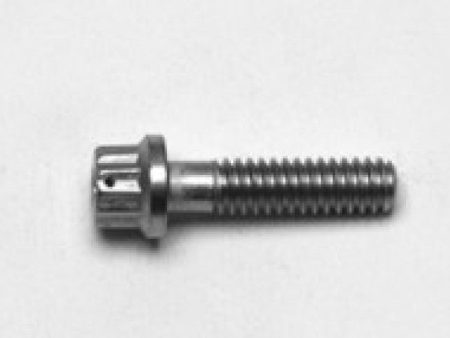 Wilwood 1 4-20 x 1.00 LG - 12 PTCS - LWD Stainless Replacement Bolt Hot on Sale