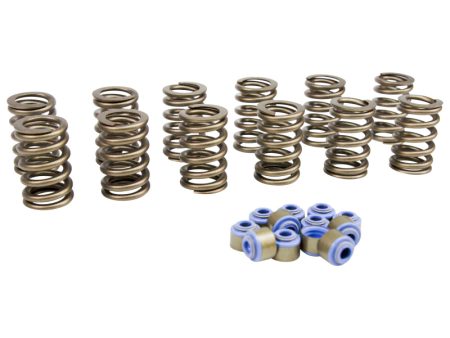 COMP Cams 88-06 Jeep 4.0L .450in Lift Valve Springs Kit Online Hot Sale