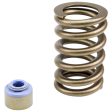 COMP Cams 88-06 Jeep 4.0L .450in Lift Valve Springs Kit Online Hot Sale