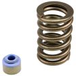 COMP Cams 88-06 Jeep 4.0L .450in Lift Valve Springs Kit Online Hot Sale